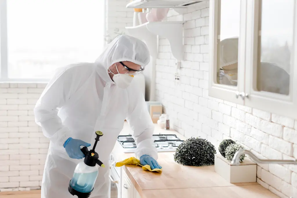 Discover mold prevention tips for homeowners.